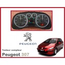 Testeur tableau compteur Peugeot 307