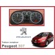 Testeur tableau compteur Peugeot 307